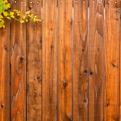 Pressure Washing in Frisco, TX